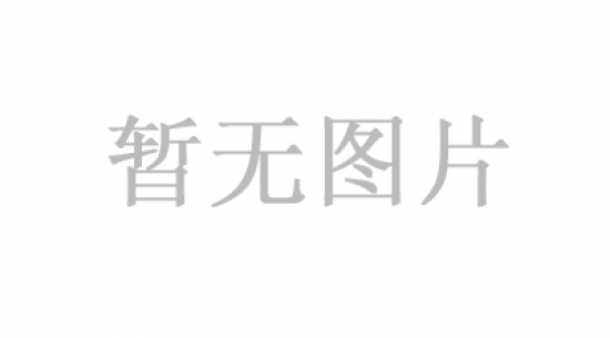 包頭東寶生物技術(shù)股份有限公司劉芳團(tuán)隊(duì) 榮獲首屆“包頭創(chuàng)新發(fā)展提名獎(jiǎng)”